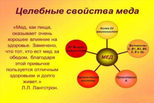 цілющі властивості меду